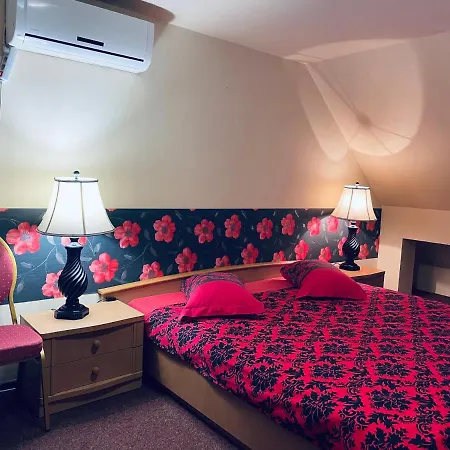 Pensiunea Texas Self Check-in 4*