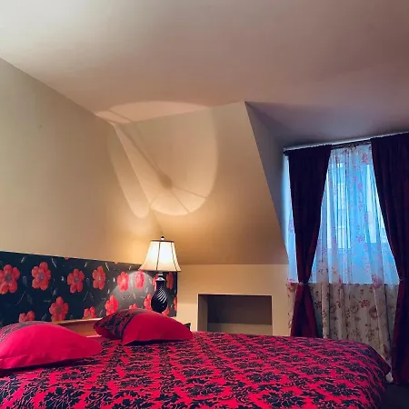 Pensiunea Texas Self Check-in Affittacamere