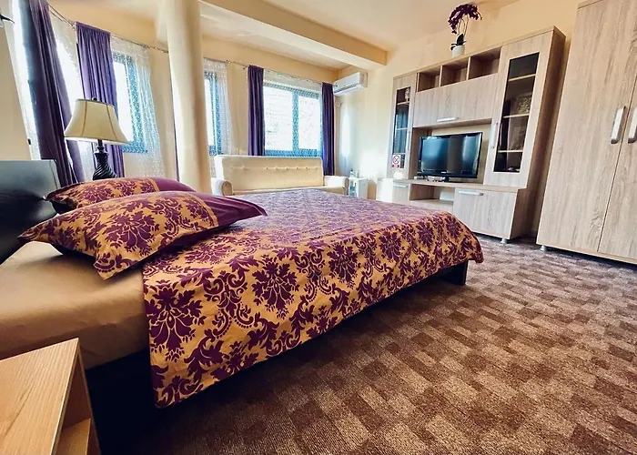 Pensionat Pensiunea Texas Self Check-in 4*