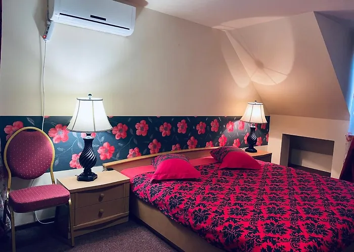 Pensiunea Texas Self Check-in 4*