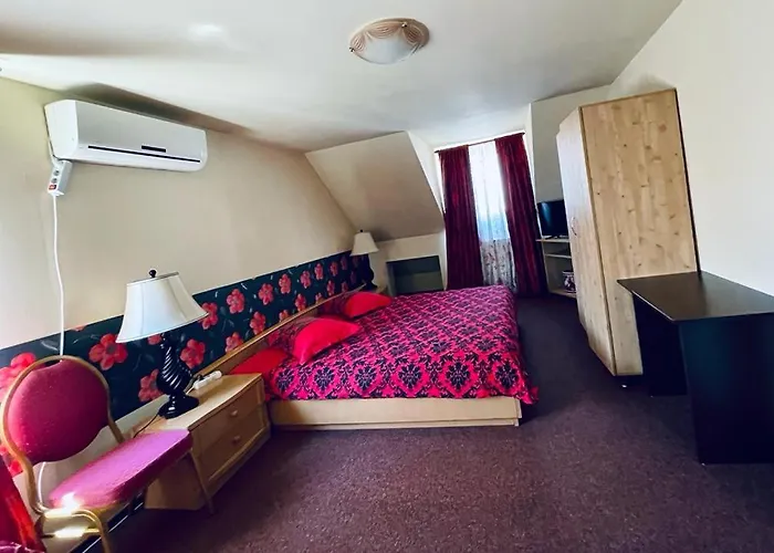 招待所 Pensiunea Texas Self Check-in 4*