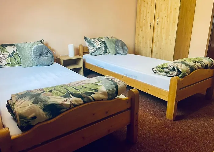 Pensiunea Texas Self Check-in 招待所