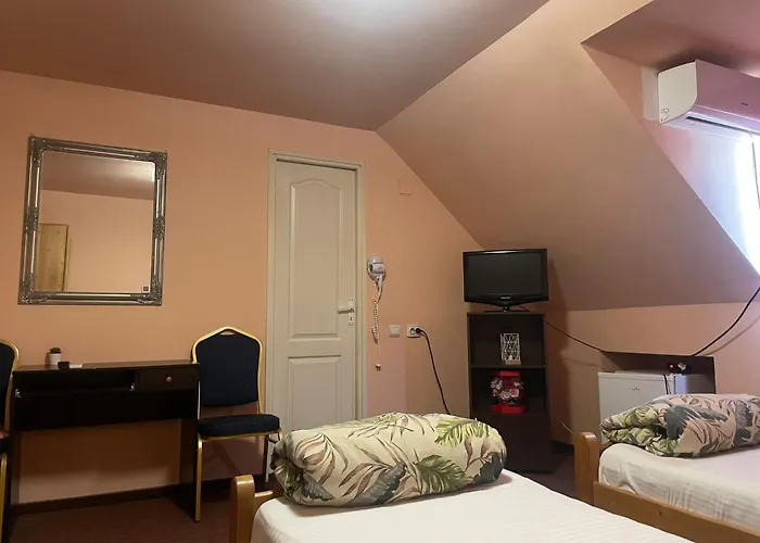 Pensiunea Texas Self Check-in Pensionat