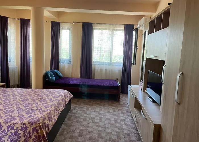 Pensiunea Texas Self Check-in 招待所 4*