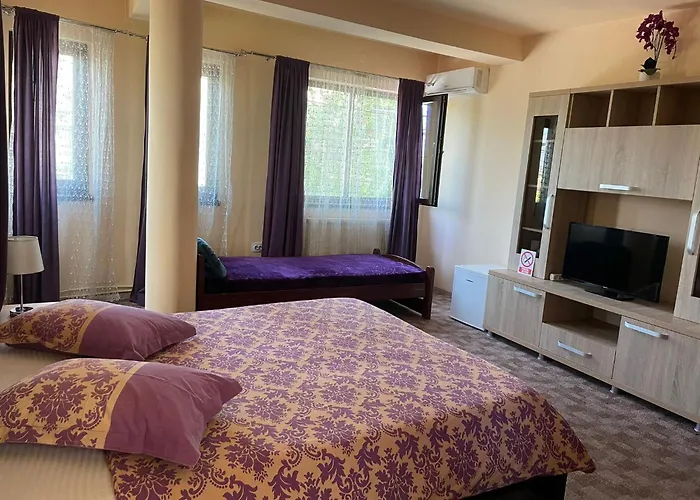 Pensionat Pensiunea Texas Self Check-in 4*