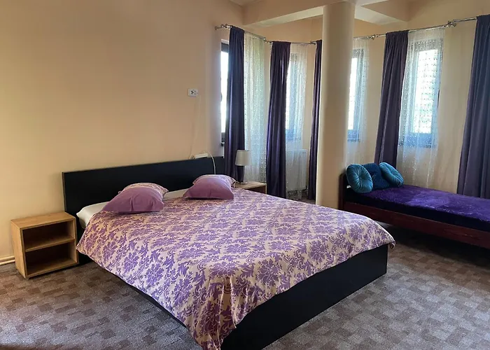 Pensiunea Texas Self Check-in 4*