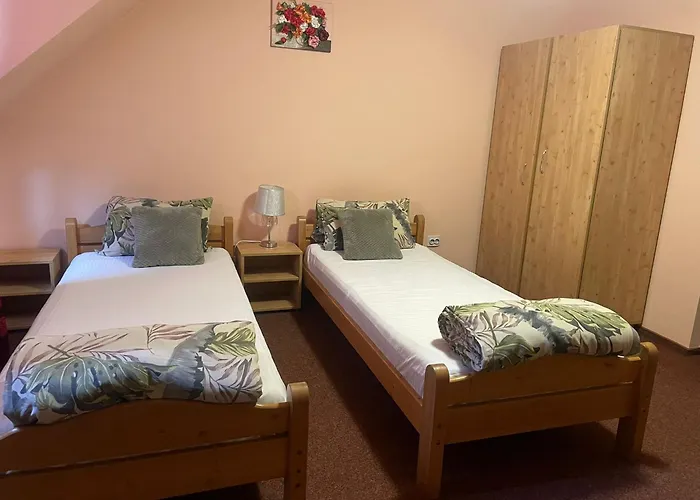 Pensiunea Texas Self Check-in 4* Cluj-Napoca