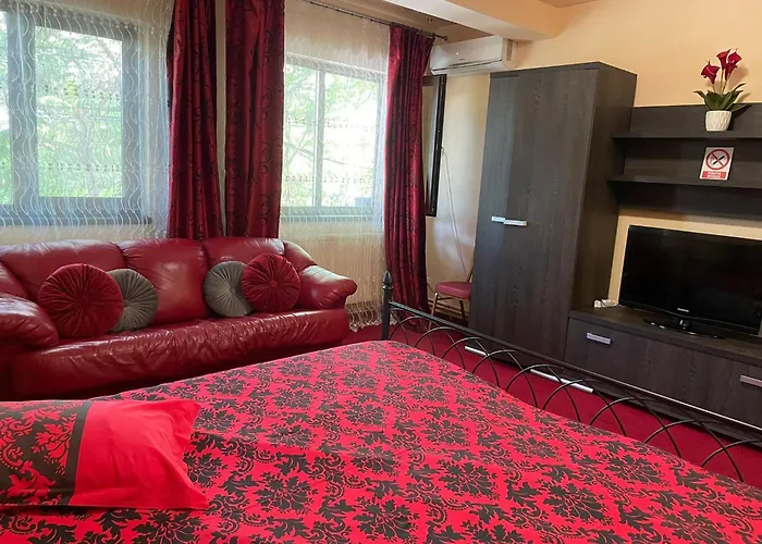 Pensionat Pensiunea Texas Self Check-in